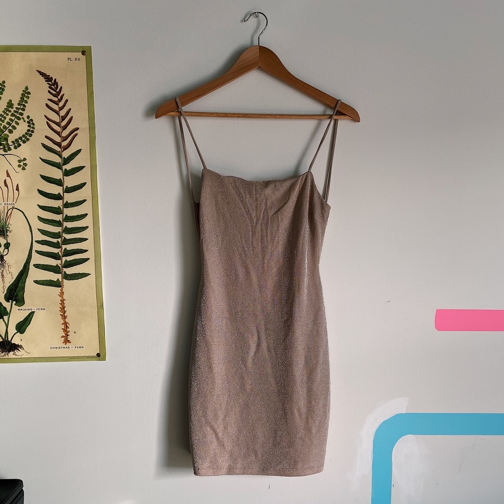 Windsor Pink Iridescent Backless Dress